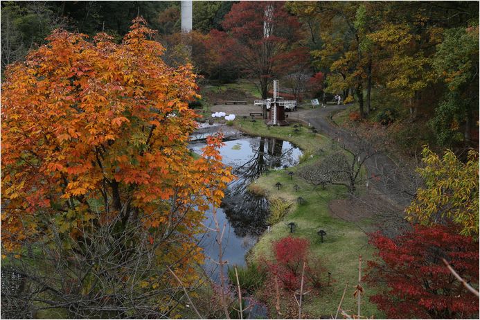 とっとり花回廊 ①　紅葉_a0256349_6431698.jpg