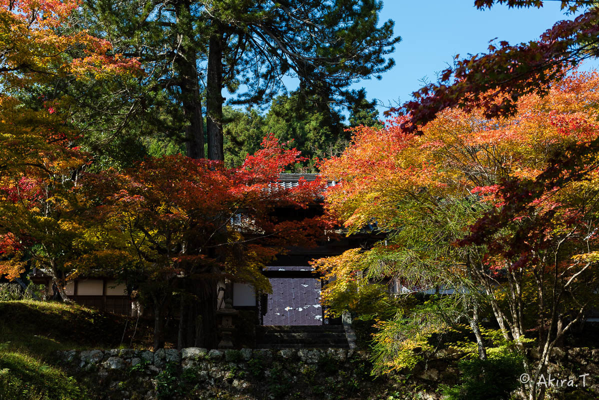 京都の紅葉 2016 〜2〜_f0152550_23122251.jpg