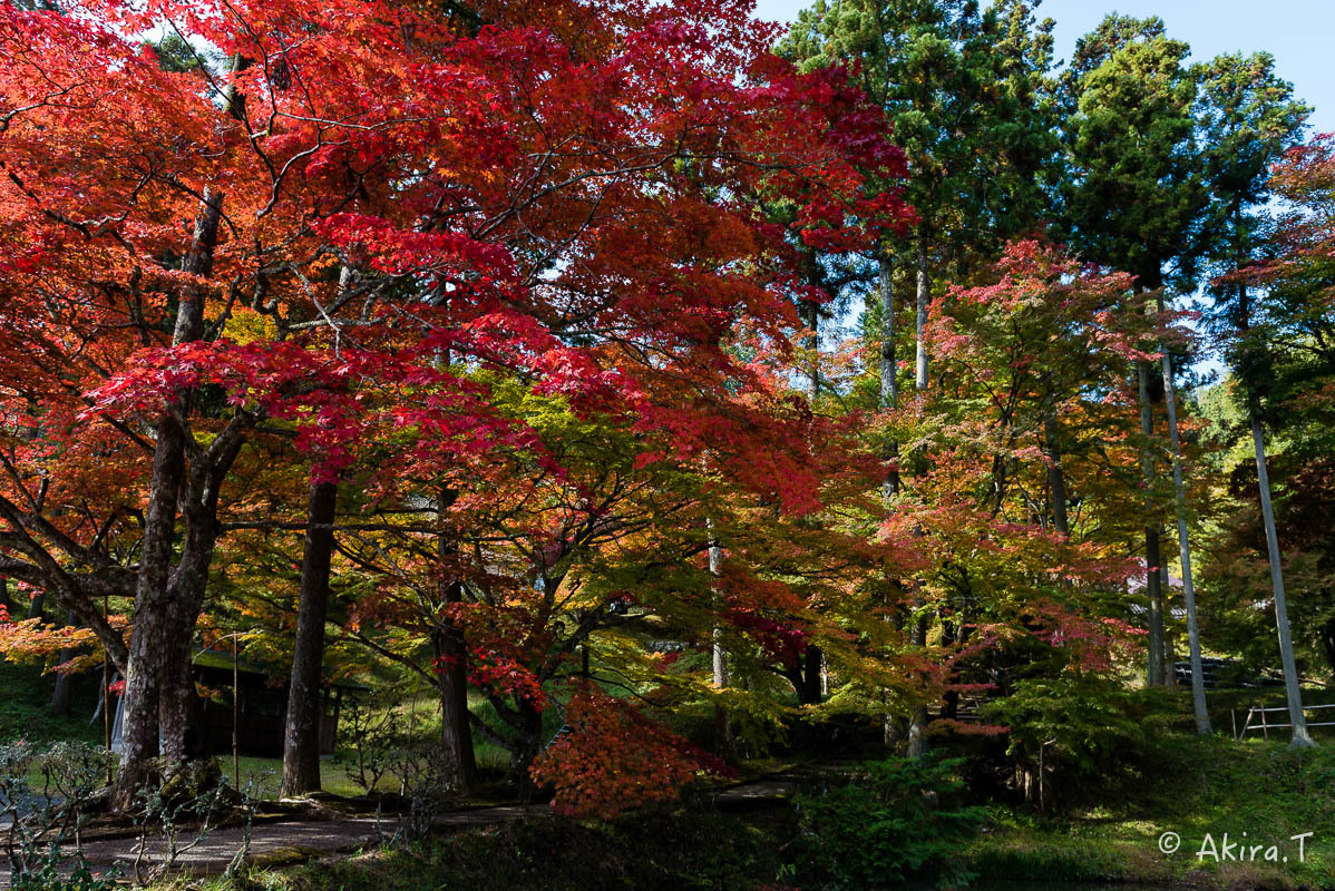 京都の紅葉 2016 〜2〜_f0152550_23130444.jpg