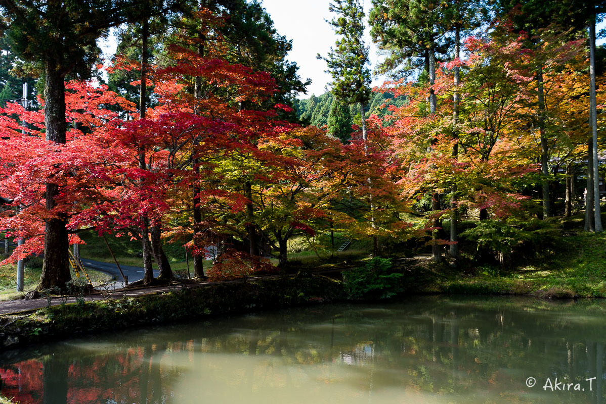 京都の紅葉 2016 〜2〜_f0152550_23131792.jpg