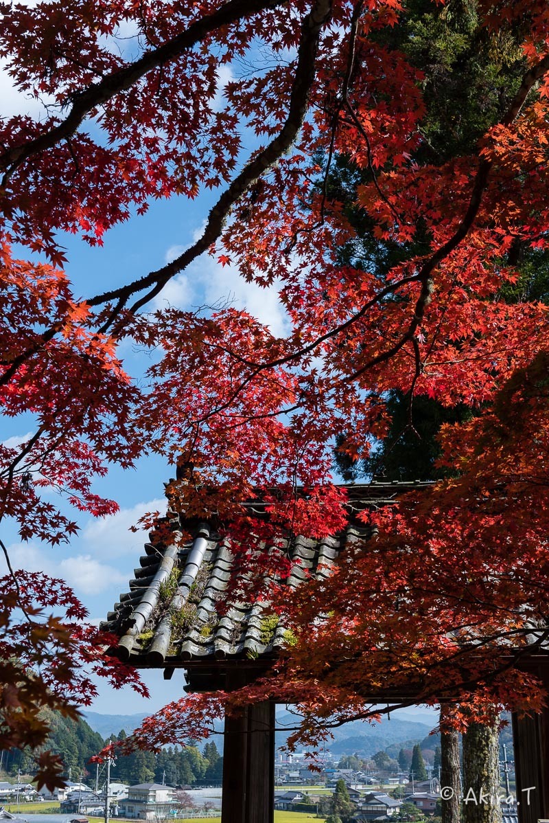 京都の紅葉 2016 〜2〜_f0152550_23163235.jpg