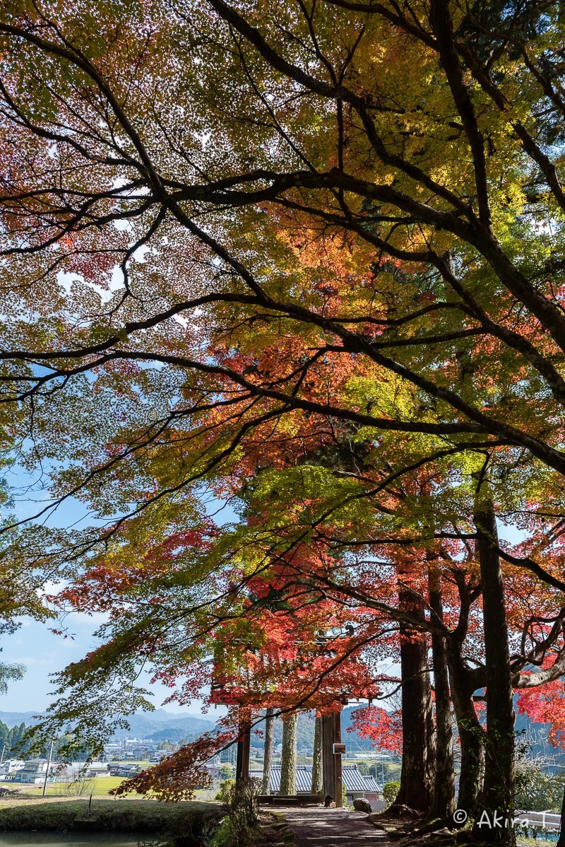 京都の紅葉 2016 〜2〜_f0152550_23175303.jpg