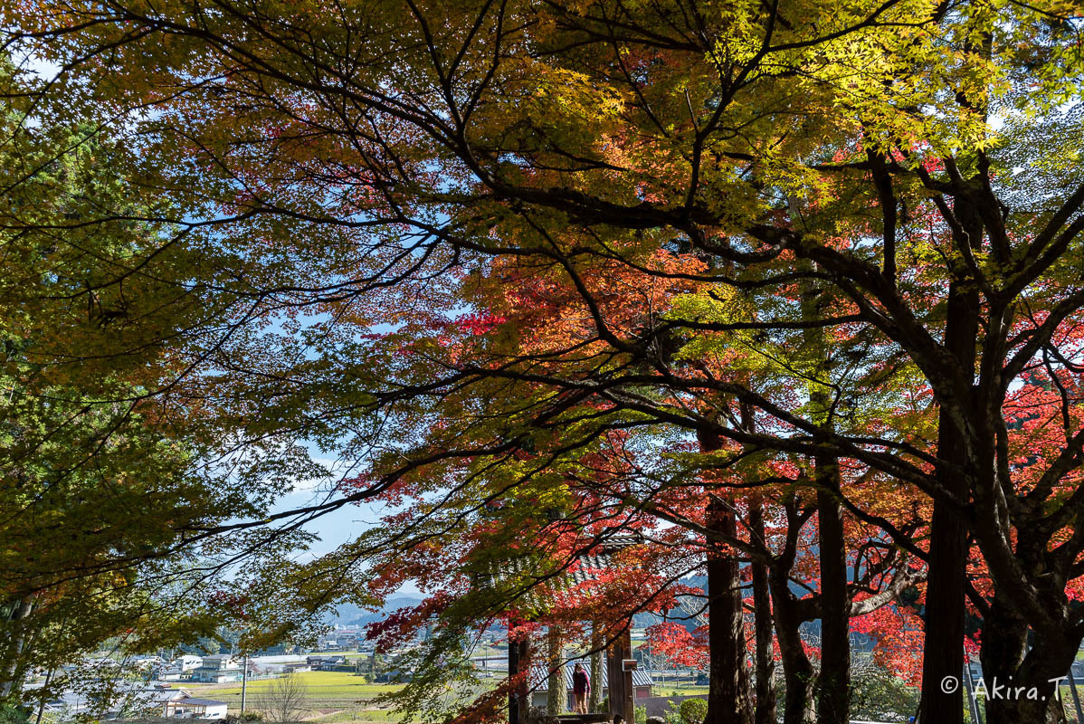 京都の紅葉 2016 〜2〜_f0152550_23180797.jpg