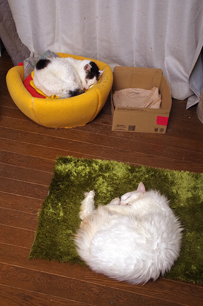 片付けようとしたら_a0028451_13050710.jpg