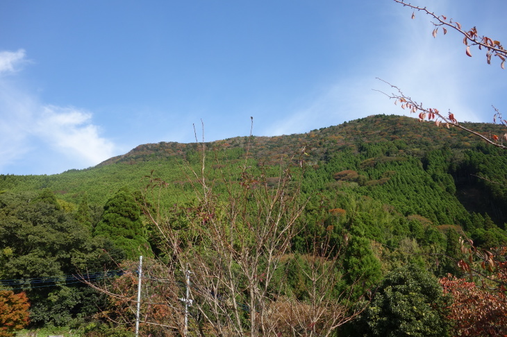 d0345153_21034535.jpg