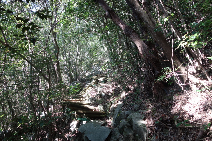 d0345153_21261834.jpg
