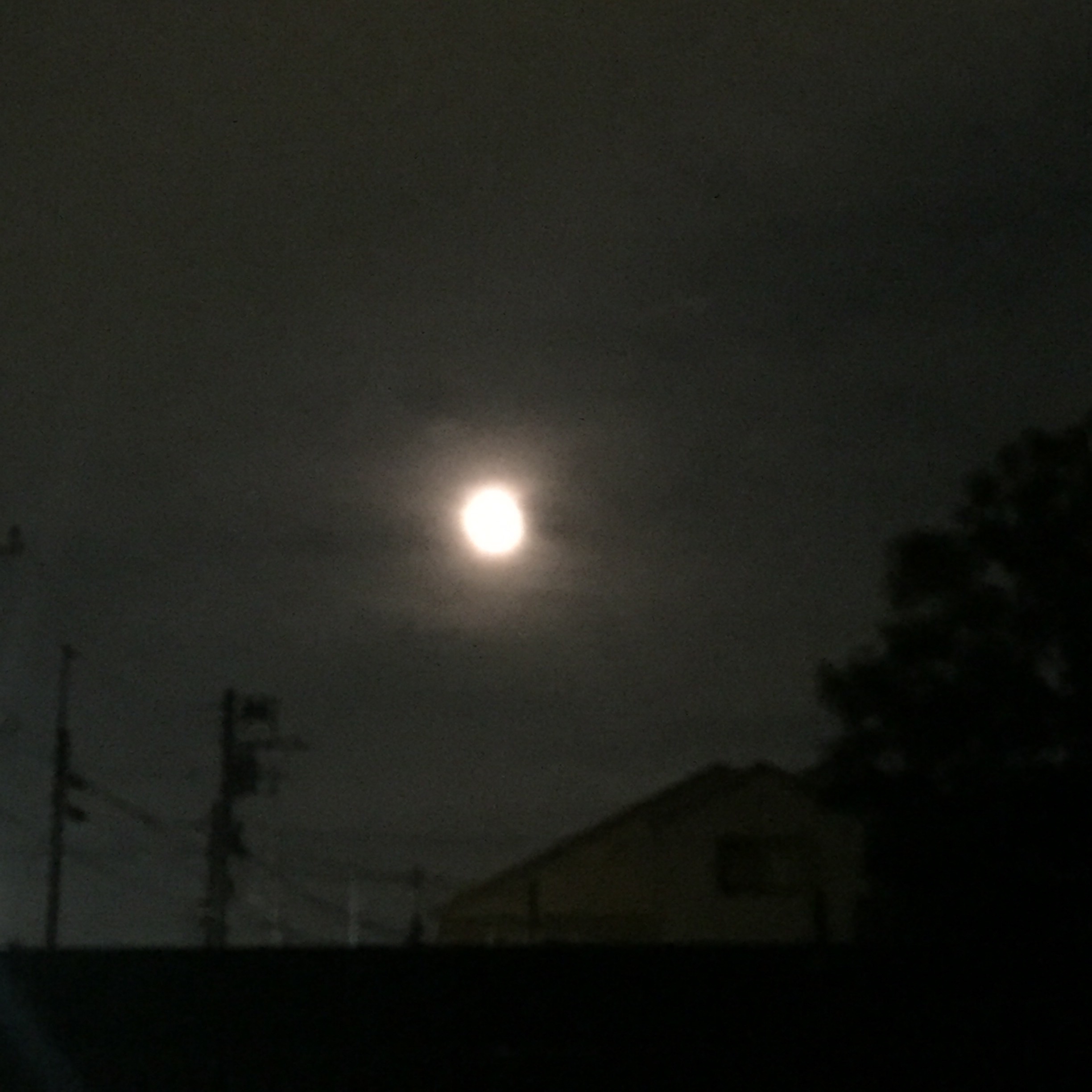 b0361158_20325767.jpg