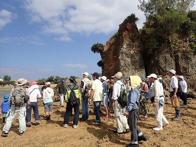 南恩納海岸の自然観察会_c0180460_11491210.jpg