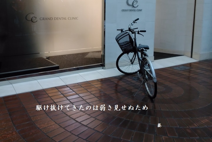 f0379160_19563091.jpg