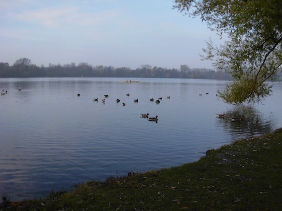 e0357367_01593753.jpg