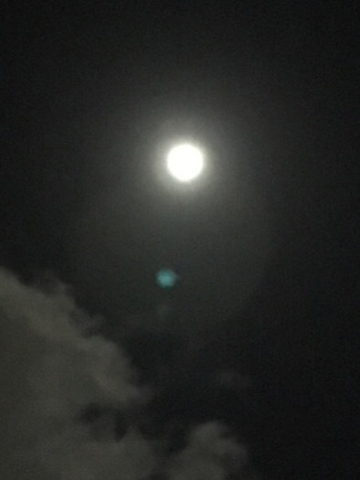 何だかな〜〜(ーー;)_f0363168_08562557.jpeg