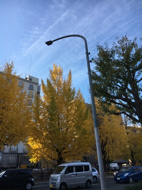 f0363168_18473556.jpeg