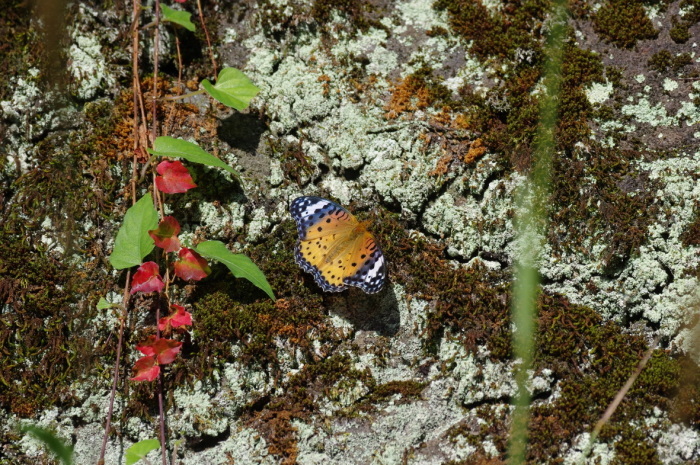 b0301570_05414289.jpg