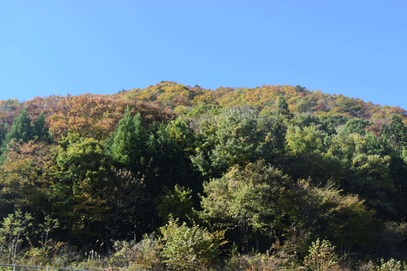 ♪ダニエル 日帰り旅行は軽井沢～(^_^)/~ ♪_b0242873_20401946.jpg