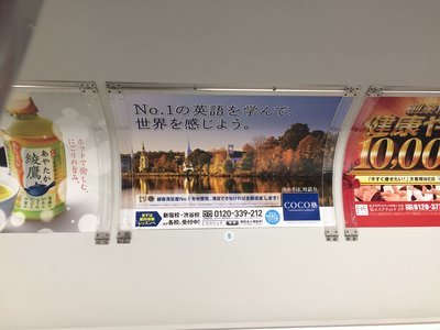 日本で見たノバスコシア州_c0353373_04512483.jpg