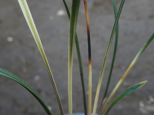 f0231573_18105645.jpg