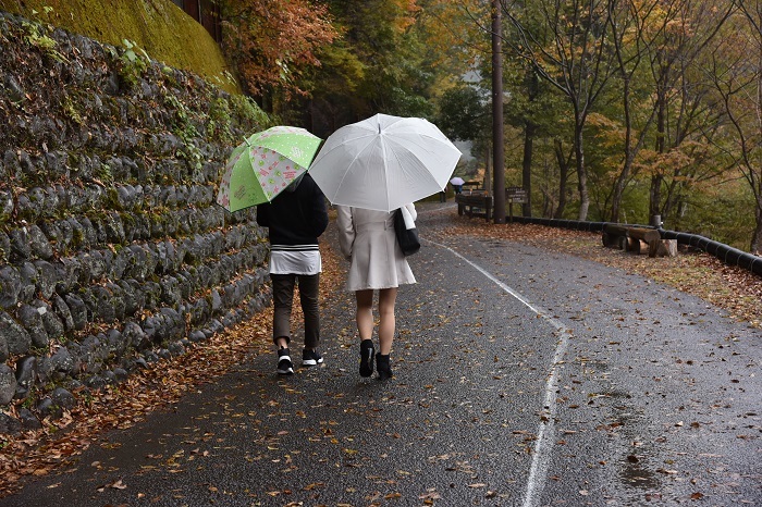 雨にぬれて_e0344574_22301486.jpg