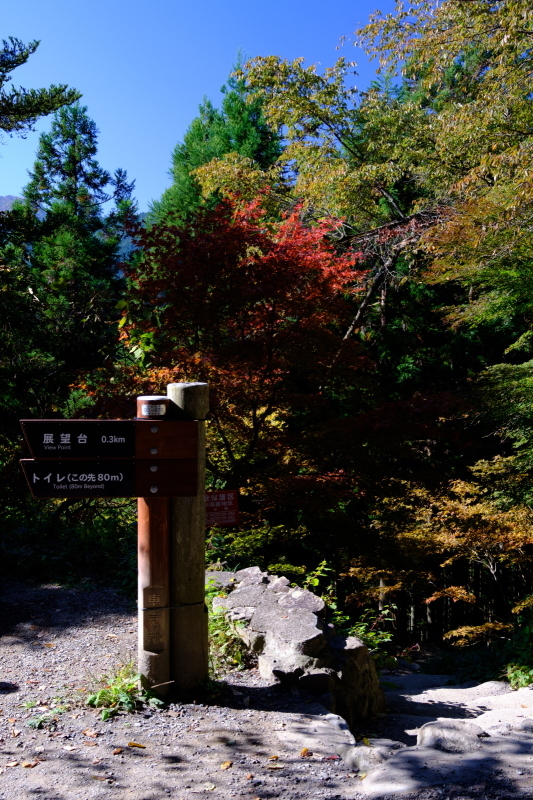 b0368075_08423037.jpg