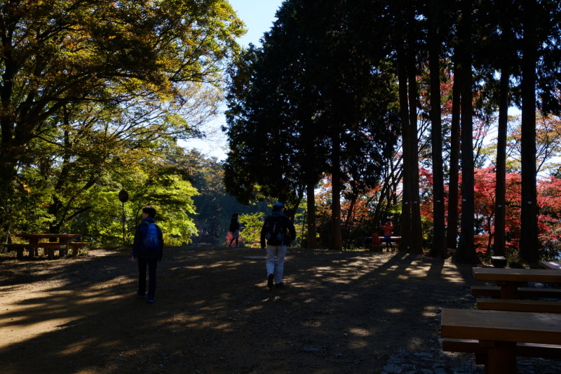 b0368075_09350049.jpg