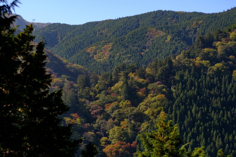 b0368075_09375870.jpg