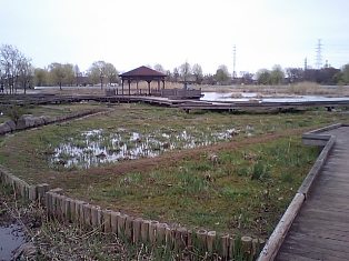 e0361278_13581483.jpg
