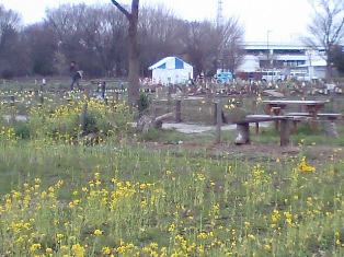 e0361278_13581649.jpg