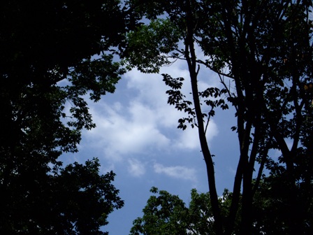 e0361278_14020389.jpg
