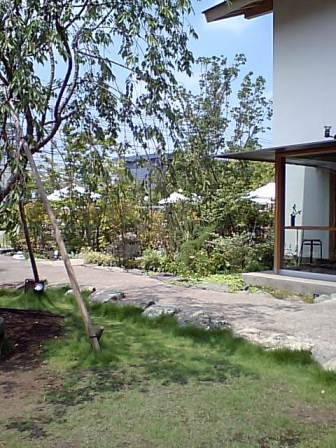 e0361278_14020918.jpg