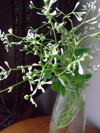 e0361278_14035621.jpg