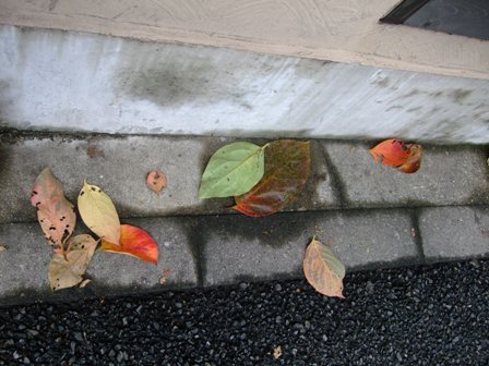 e0361278_14062221.jpg