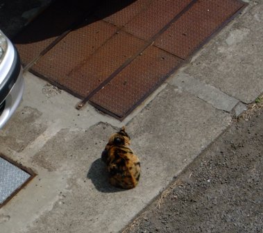 e0361278_14113752.jpg