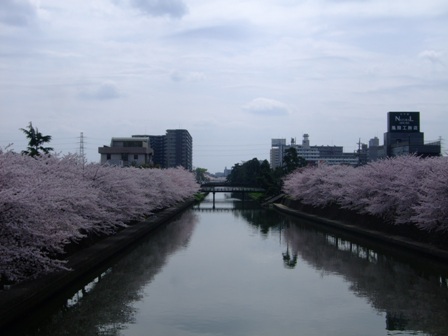 e0361278_14122055.jpg