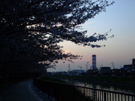 e0361278_14122313.jpg