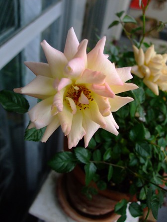 e0361278_14133440.jpg