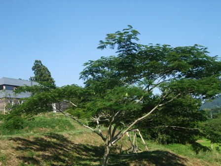 e0361278_14144038.jpg