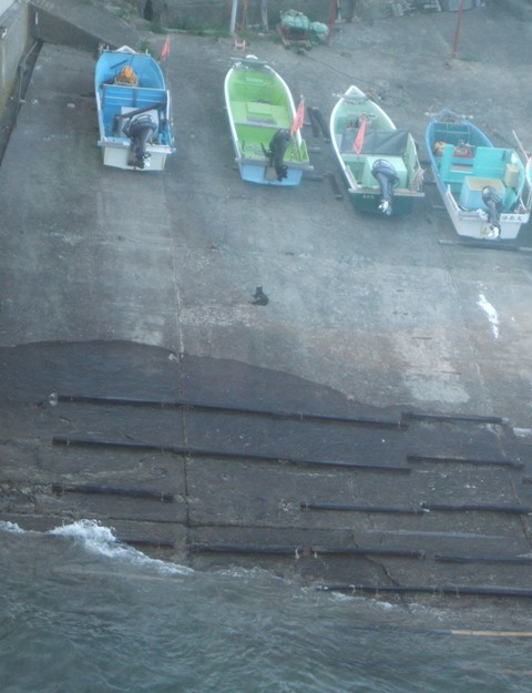 e0361278_14144560.jpg