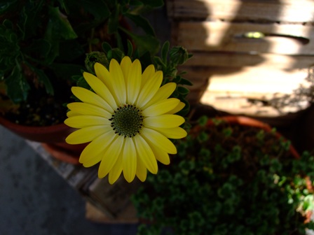 e0361278_14220785.jpg