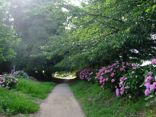 e0361278_14301493.jpg