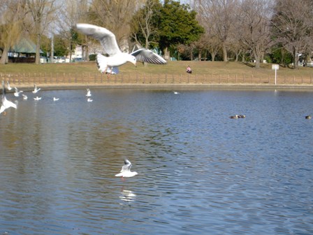 e0361278_14501758.jpg