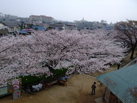 e0361278_14540513.jpg