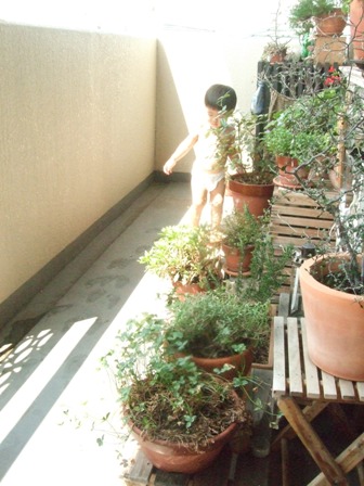 e0361278_15050642.jpg