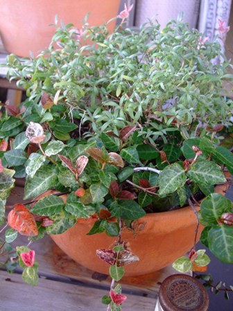 e0361278_15085039.jpg
