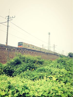 e0361278_15263543.jpg
