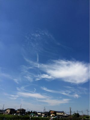 e0361278_15263971.jpg