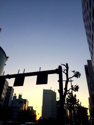e0361278_15290700.jpg