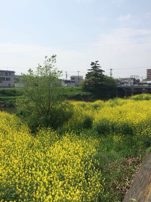 e0361278_15372626.jpg
