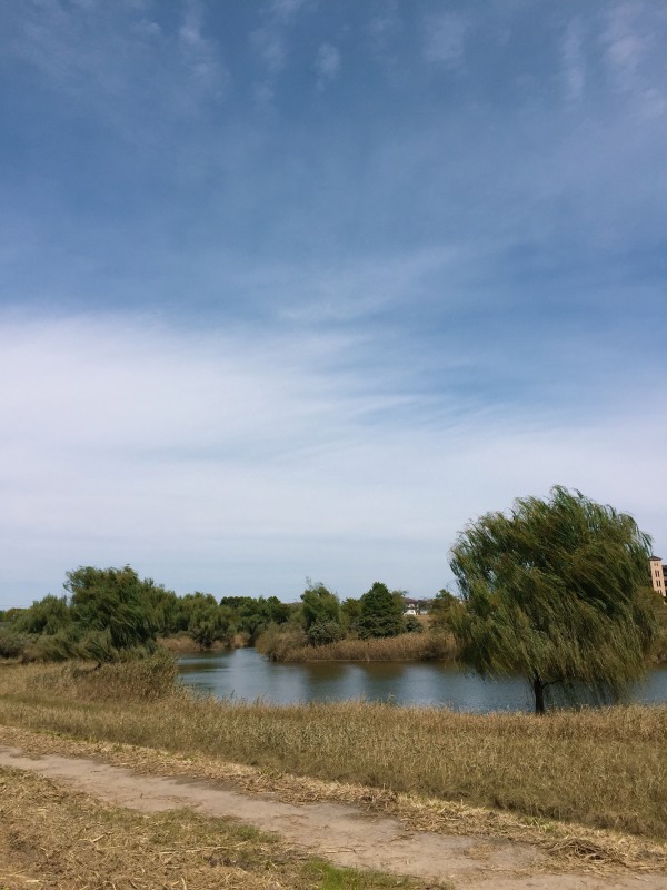 e0361278_16001503.jpg