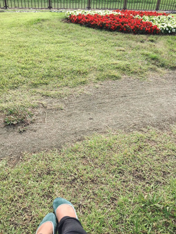 e0361278_16053041.jpg