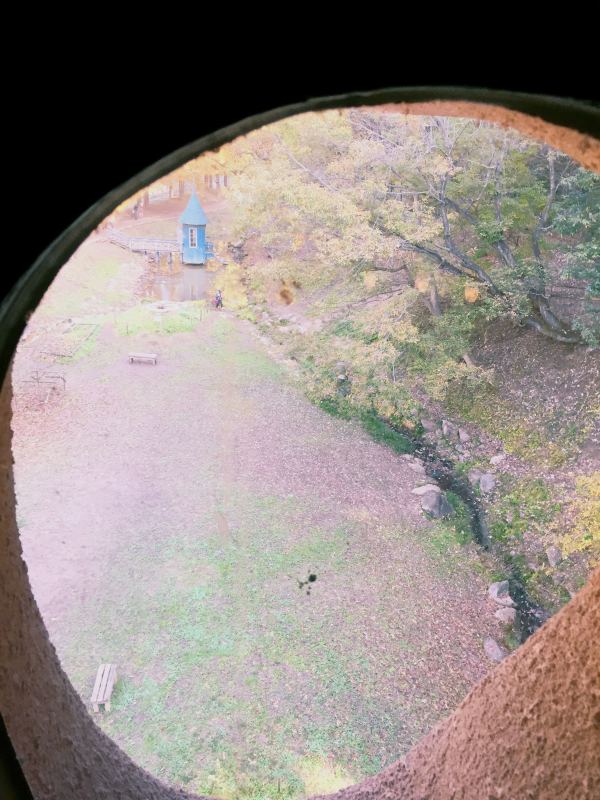 e0361278_16165388.jpg