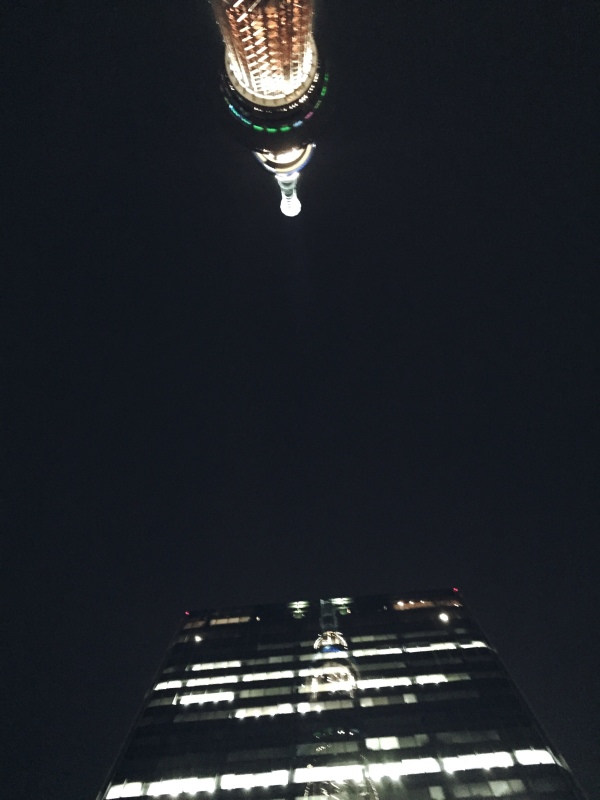 e0361278_16182793.jpg